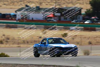 media/Mar-08-2025-Extreme Speed (Sat) [[4abb97269e]]/Purple/Turns 2  and  4 (Session 2)/